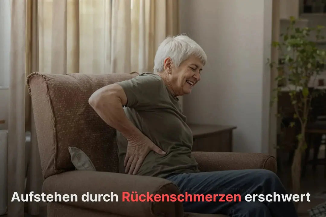 Schmezer Pflegesessel Dabo mobil Plus Schmezer
